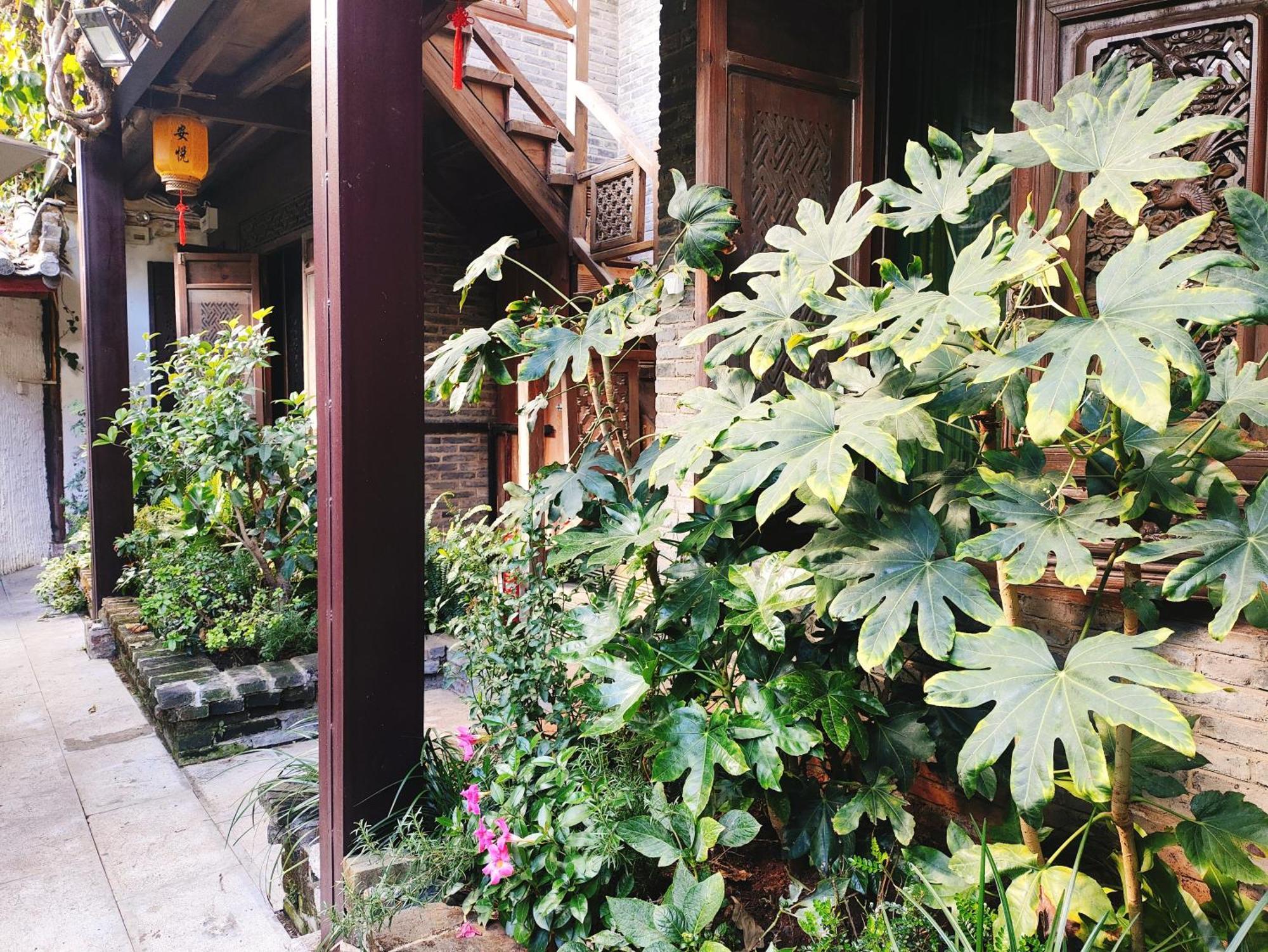 Big Tree Guesthouse - Naxi Old Style Lijiang  Extérieur photo